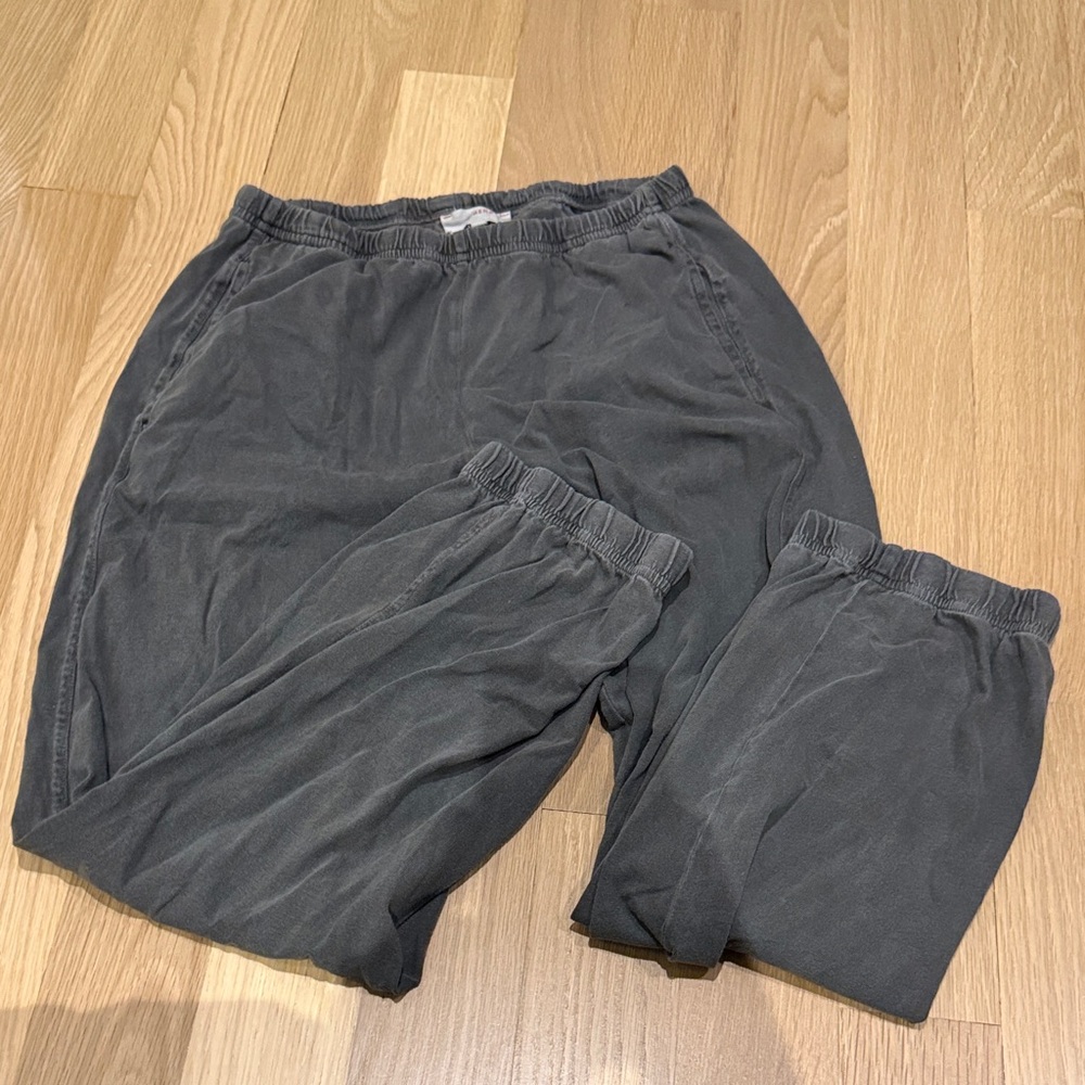 Xirena sweatpants